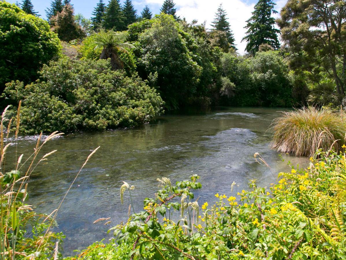 Bellbird Cottage - Lake Taupo Bach Waitahanui المظهر الخارجي الصورة