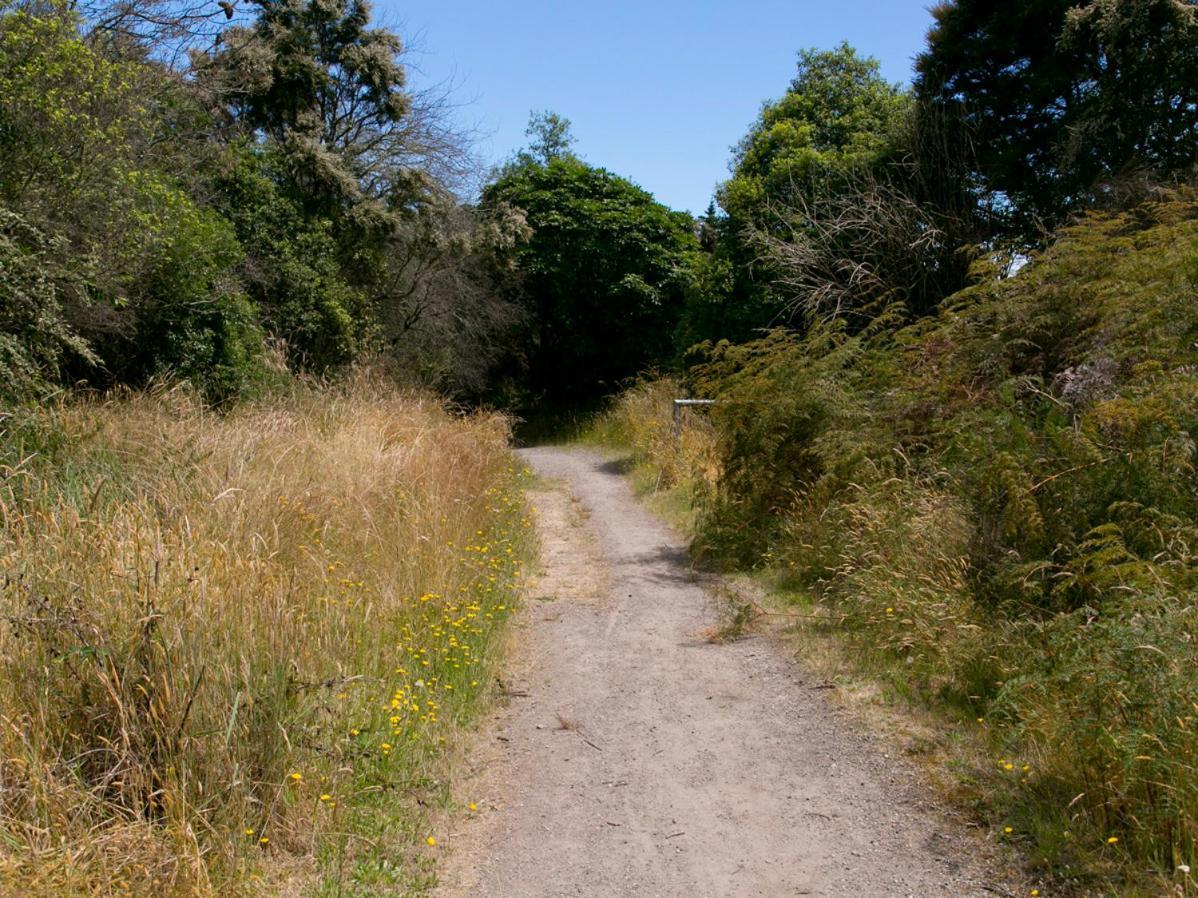 Bellbird Cottage - Lake Taupo Bach Waitahanui المظهر الخارجي الصورة